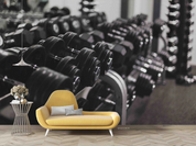 3D Fitness Equipment Dumbbell Black Wall Mural Wallpaper YXL 1150