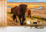 3D Sky Grassland Animal Brown Horse Scenery Wallpaper Wall Mural Wall Decor Wall Art Wall Sticker Remoable Wallpaper LQH