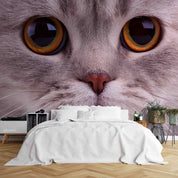 3D Animal Cat Face Eye Gray Wall Mural Wallpaper YXL 499