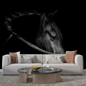 3D Dark Horse Avatar Wall Mural Wallpaper GD 5361- Jess Art Decoration