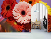 3D Spring Colorful Gerbera Wall Mural Wallpaper GD 3356- Jess Art Decoration