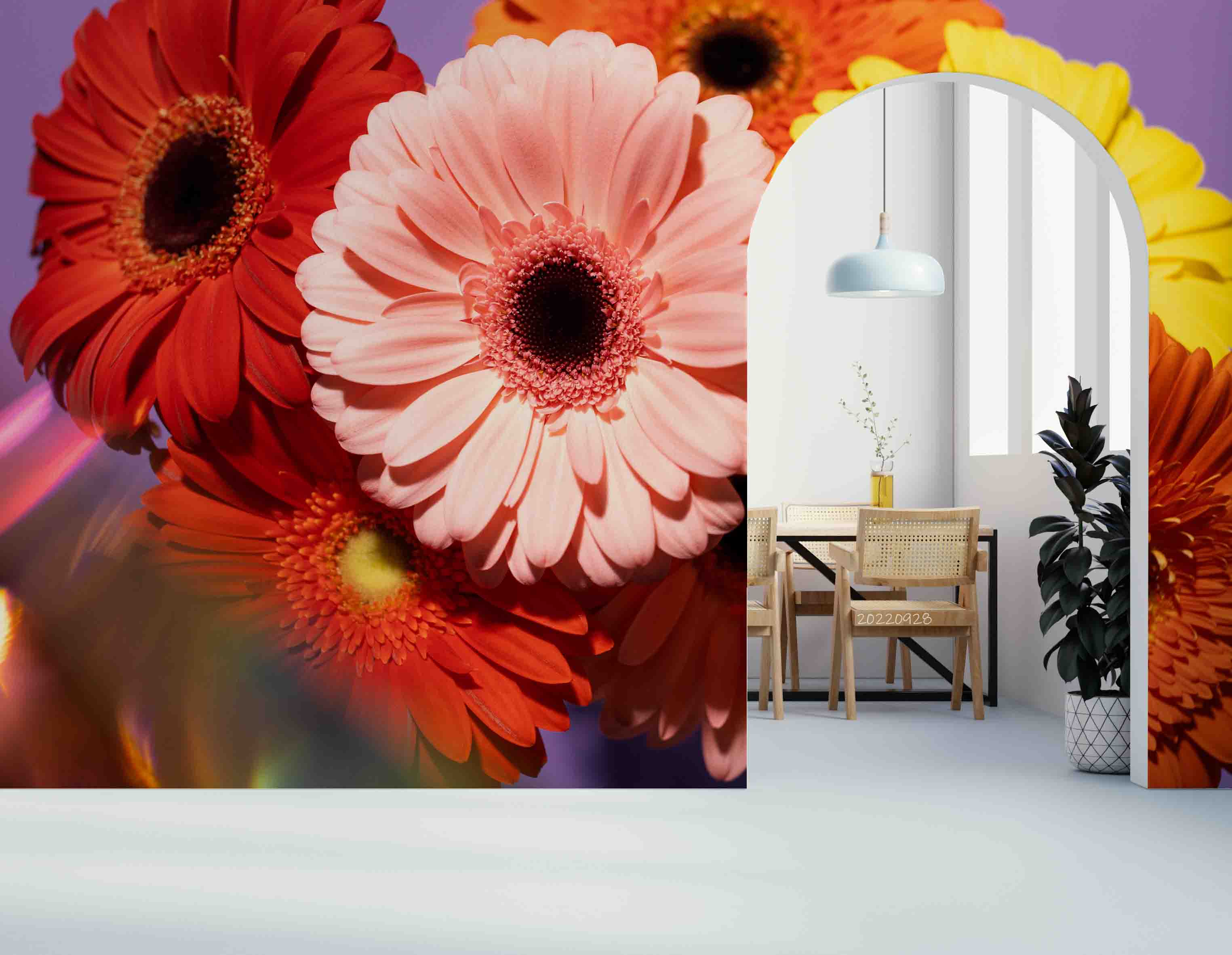 3D Spring Colorful Gerbera Wall Mural Wallpaper GD 3356- Jess Art Decoration
