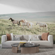 3D Closeup Cute Pony Wilderness Wall Mural Wallpaper GD 5357- Jess Art Decoration