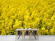3D Yellow Rapeseed Field Floral Wallpaper Wall Mural Wall Decor Wall Art Wall Sticker Remoable Wallpaper
