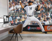 3D New York Yankees Reserve Pitcher Wall Mural Wallpaper GD 5619- Jess Art Decoration