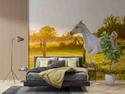 3D White Horse Meadow Sunset Wall Mural Wallpaper GD 5299- Jess Art Decoration