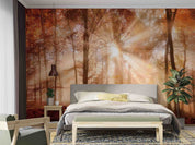 3D Forest Trees Misty Morning Sun Sunshine Wall Mural Wallpaper GD 4710- Jess Art Decoration