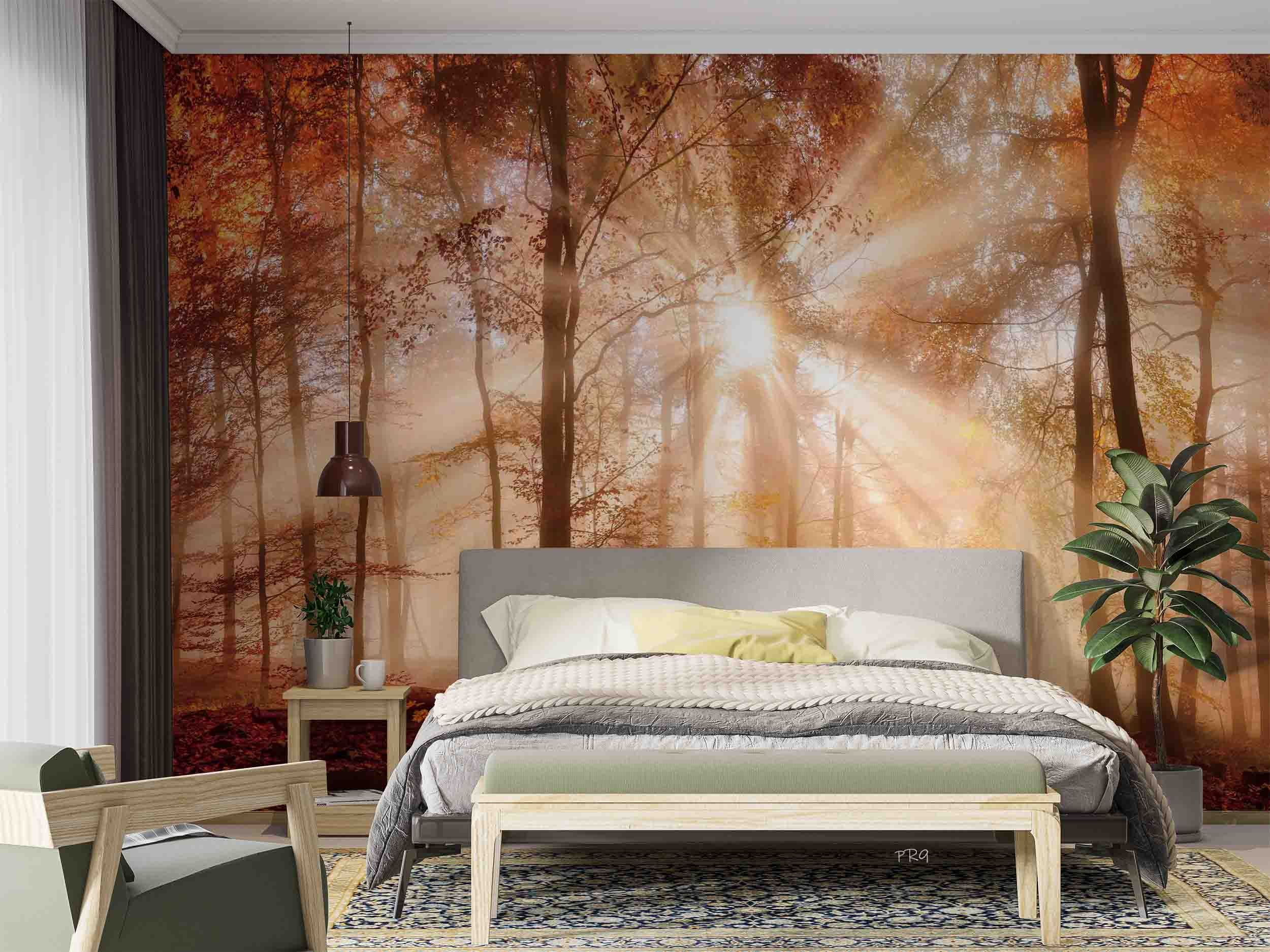 3D Forest Trees Misty Morning Sun Sunshine Wall Mural Wallpaper GD 4710- Jess Art Decoration