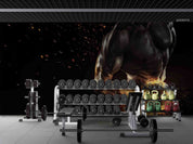 3D Gym Fitness Gymnasium Dumbbell Wall Mural Wallpaper 58