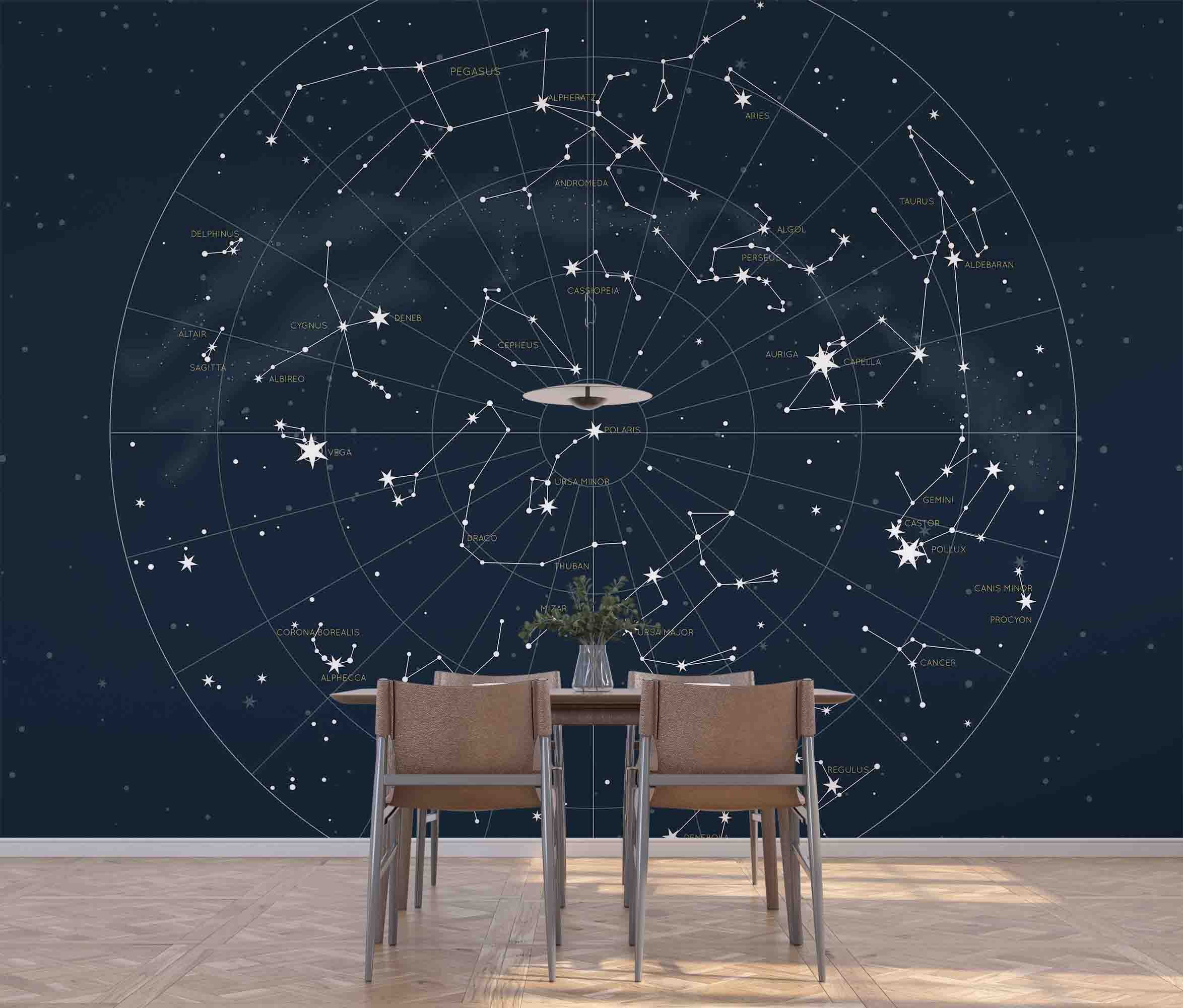 3D Northern Hemisphere Constellation Detailed Star Map Wall Mural Wallpaper GD 4521- Jess Art Decoration