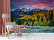 3D Autumn Forest East Beckwith Mountains Valley Landscape Wall Mural Wallpaper GD 4297- Jess Art Decoration
