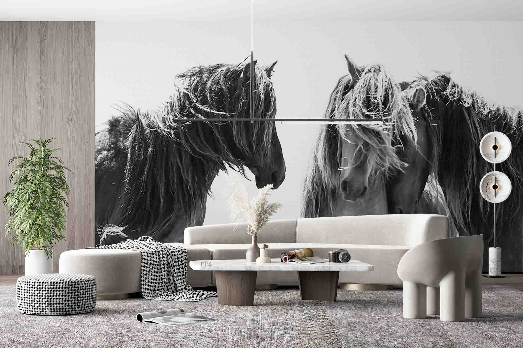 3D Animal Horse Grey Wall Mural Wallpaper YXL 11- Jess Art Decoration