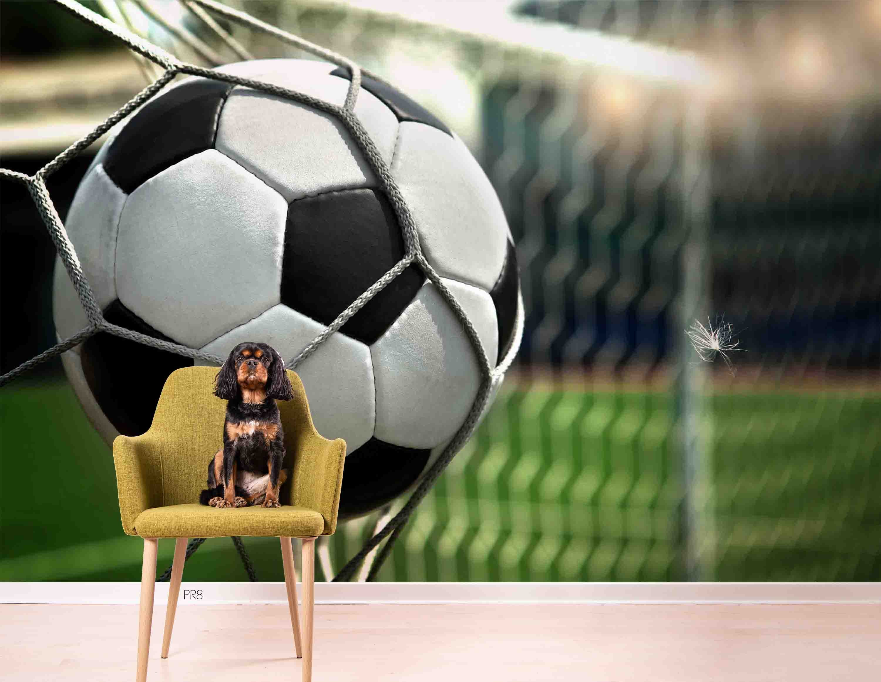 Football Net Football Stadium Wallpaper football stadium wall mural for sports room, club room or fan space - view 2