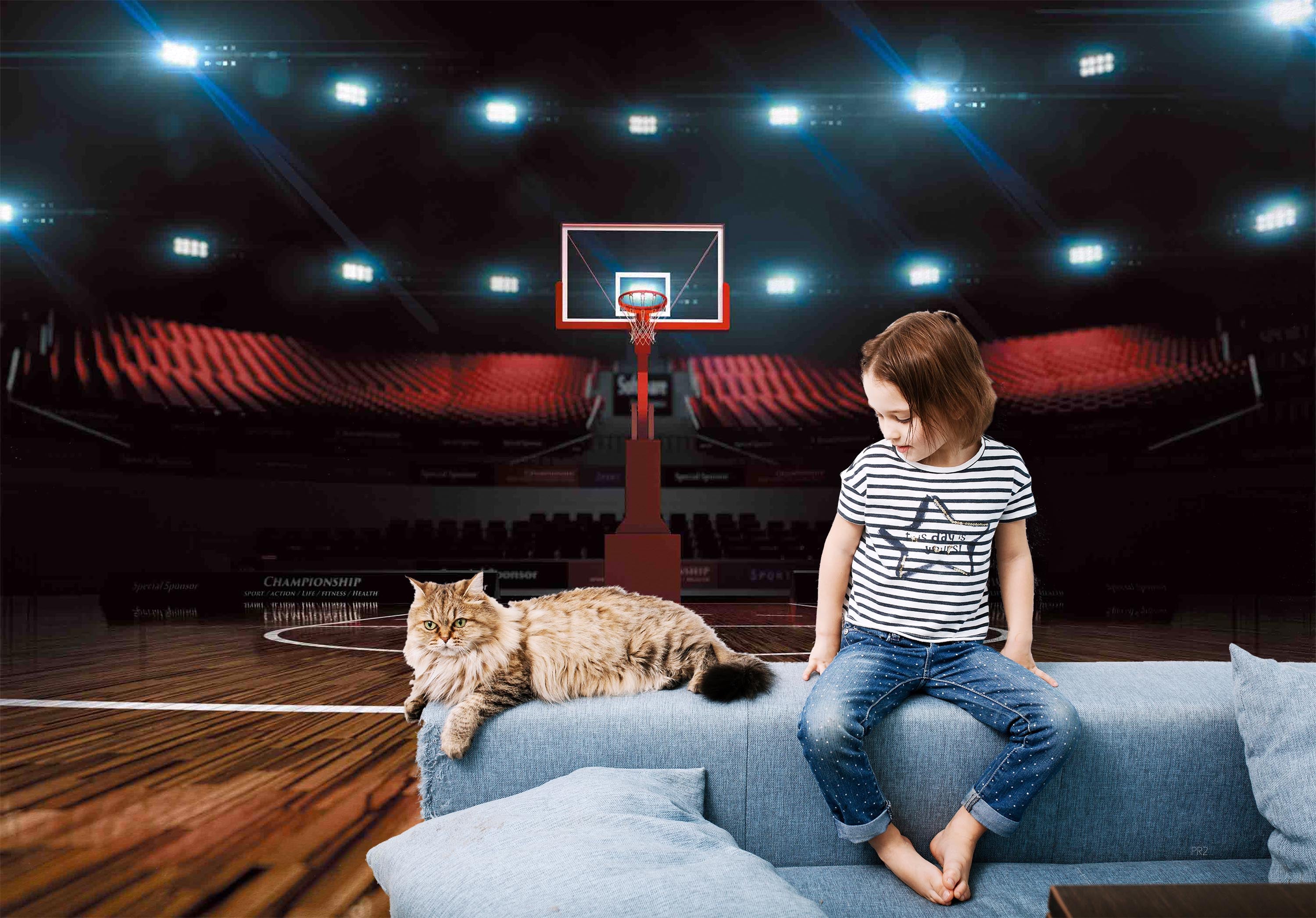 Basketball Court Lighting Wooden Floor Wallpaper basketball wall mural for bedroom, gym or sports room - view 2