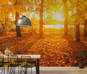 3D Autumn Forest Fallen Leaves River Sunset Scenery Wall Mural Wallpaper GD 4978- Jess Art Decoration