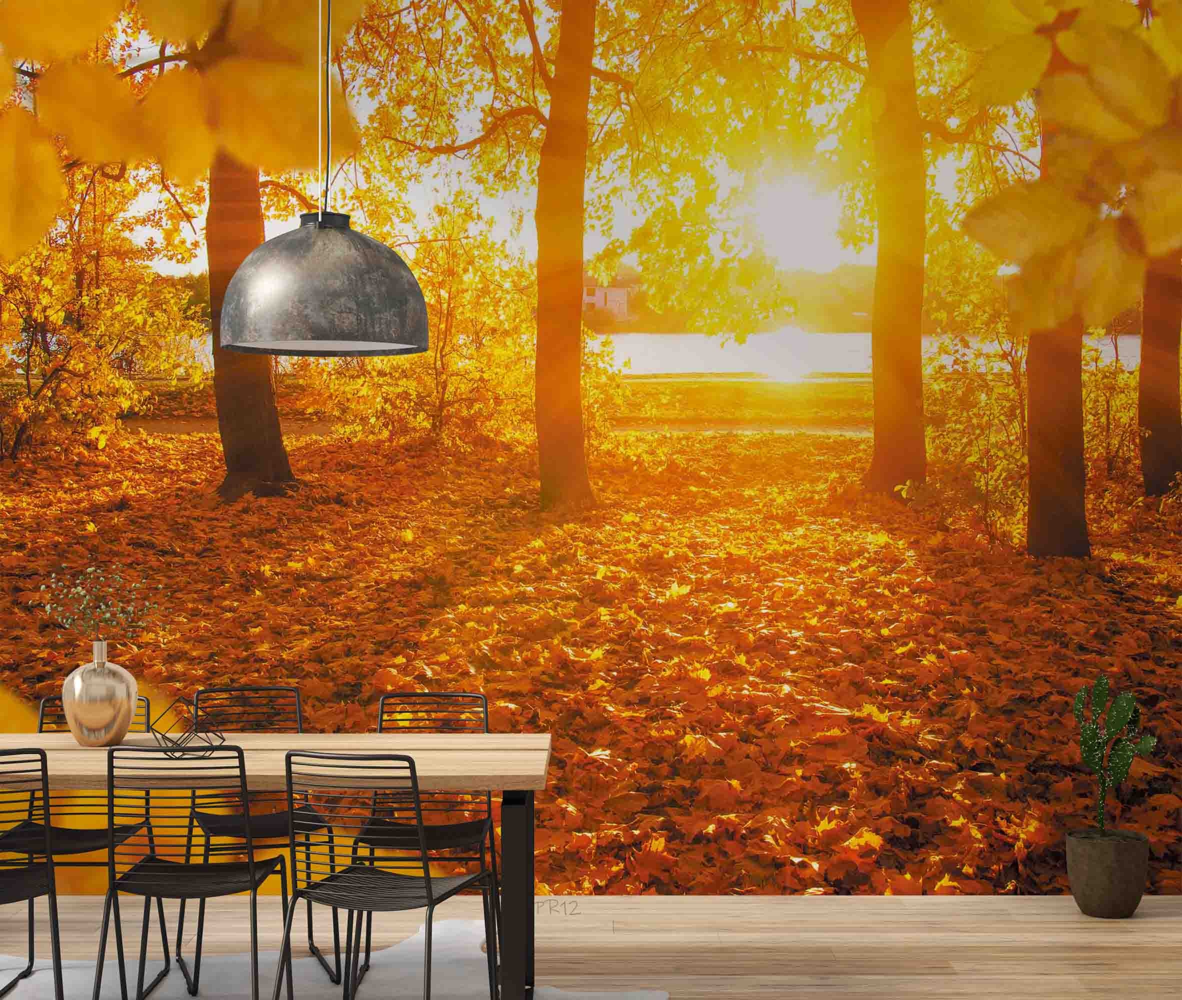 3D Autumn Forest Fallen Leaves River Sunset Scenery Wall Mural Wallpaper GD 4978- Jess Art Decoration