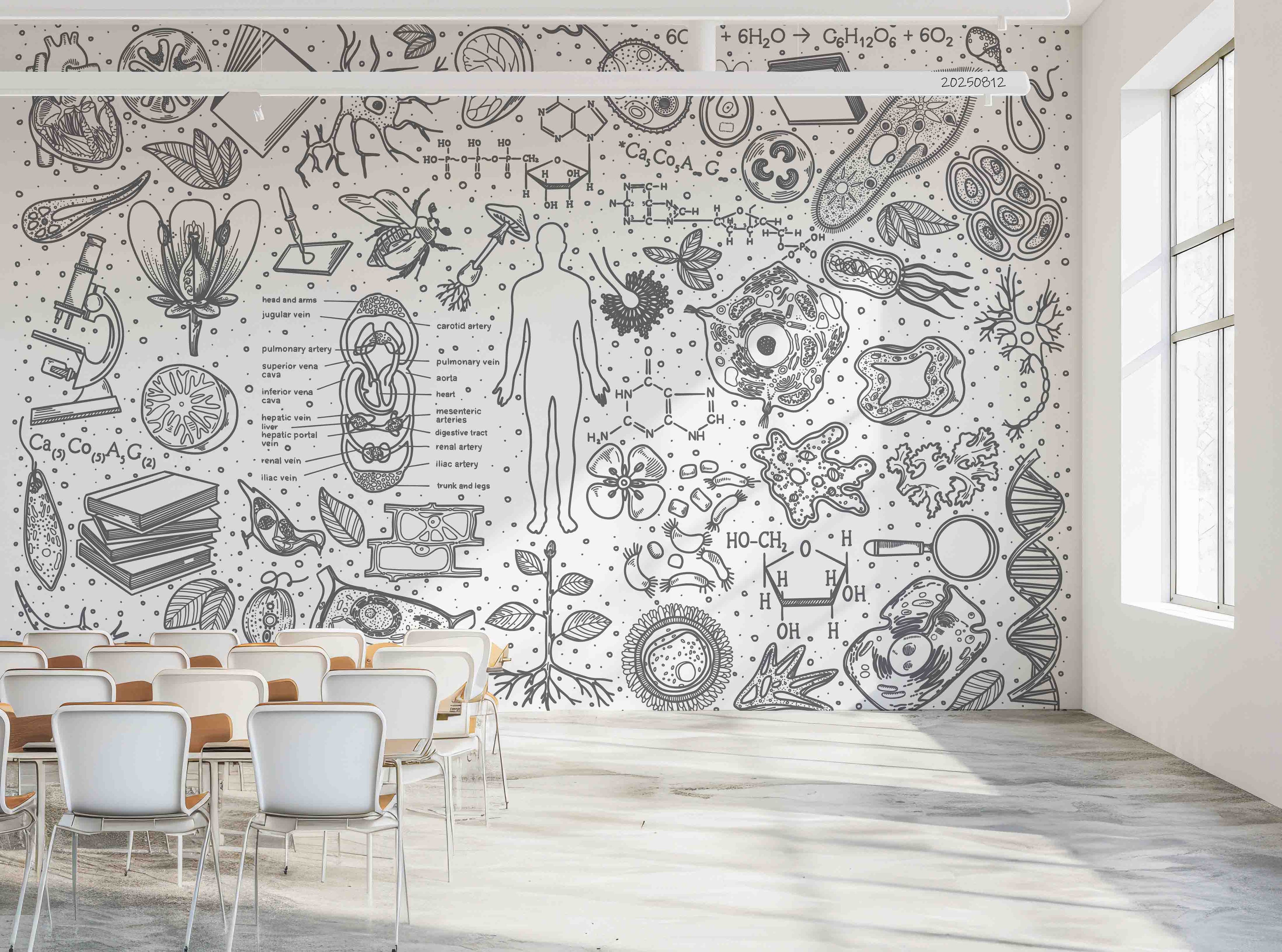 3D School STEM Science Lab Classroom Teaching Aid Wall Mural Wallpaper 46