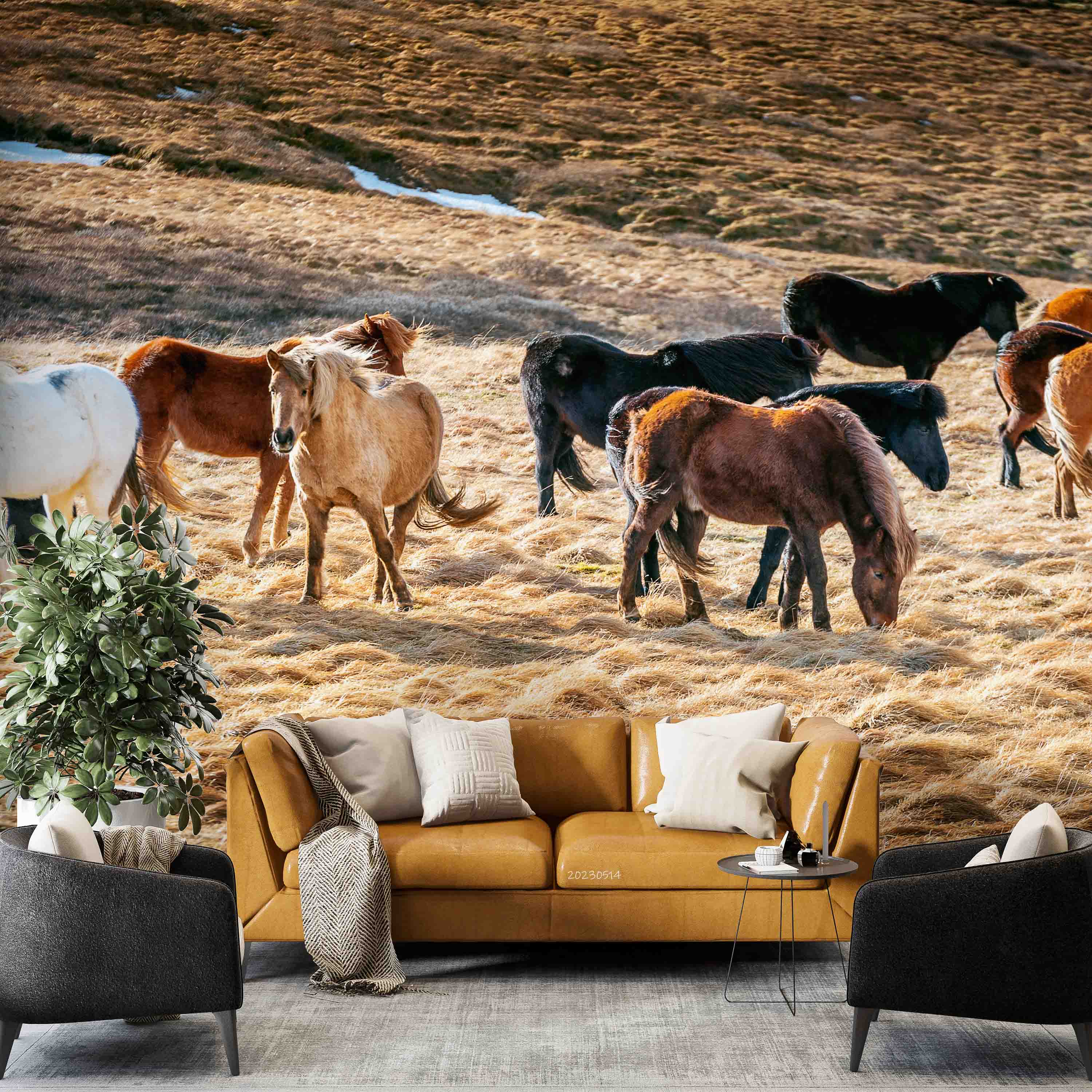 3D Icelandic Horse Group Wall Mural Wallpaper GD 5334- Jess Art Decoration