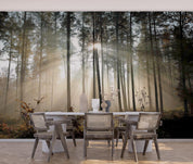 3D Forest Grass Tree Sunbeam Wall Mural Wallpaper GD 3850- Jess Art Decoration