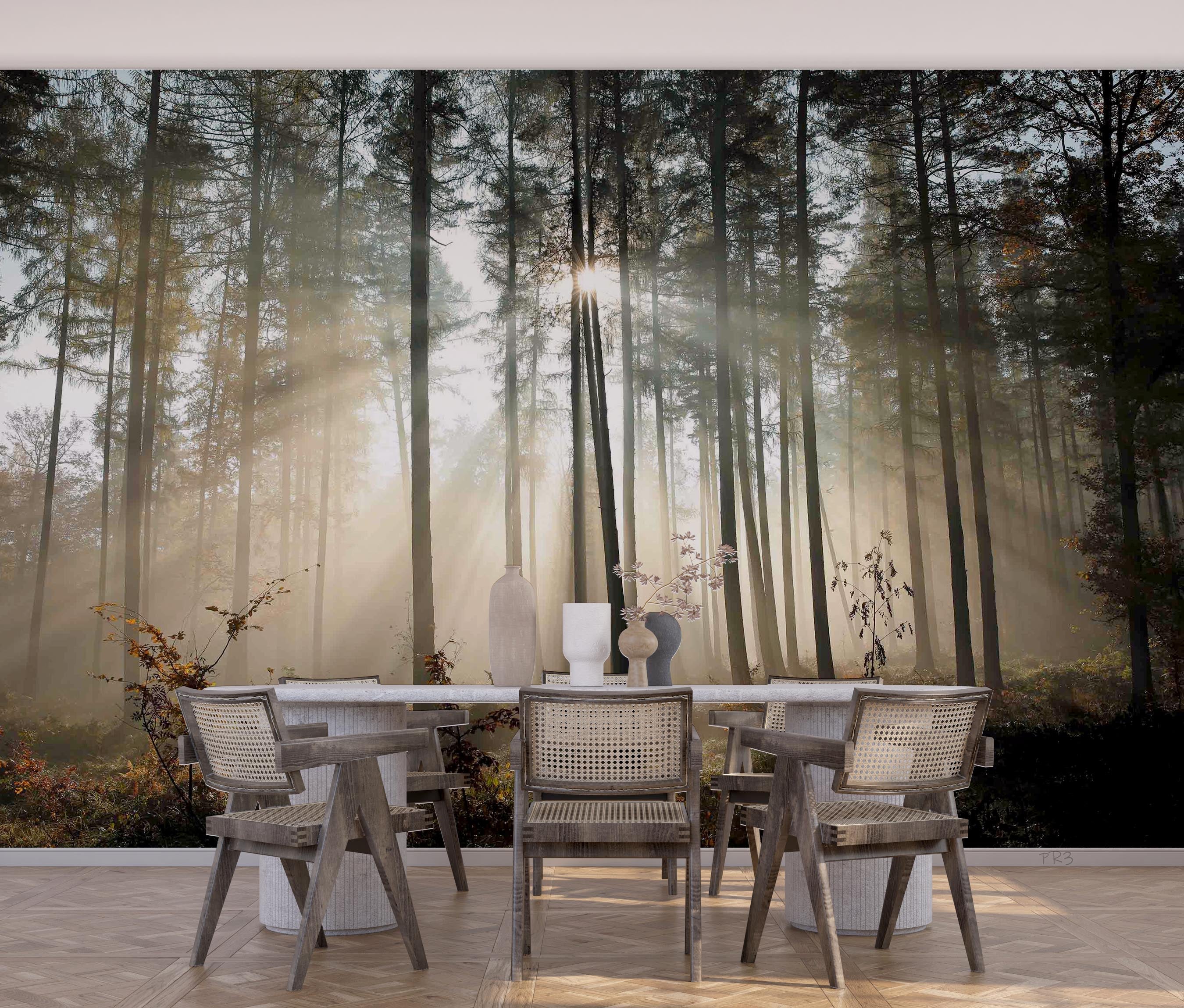 3D Forest Grass Tree Sunbeam Wall Mural Wallpaper GD 3850- Jess Art Decoration
