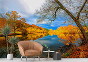 3D Yellow Forest Lake Trees Autumn Landscape Wall Mural Wallpaper JN 396
