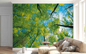 3D Summer Green Tree Sky Wall Mural Wallpaper GD 4471- Jess Art Decoration