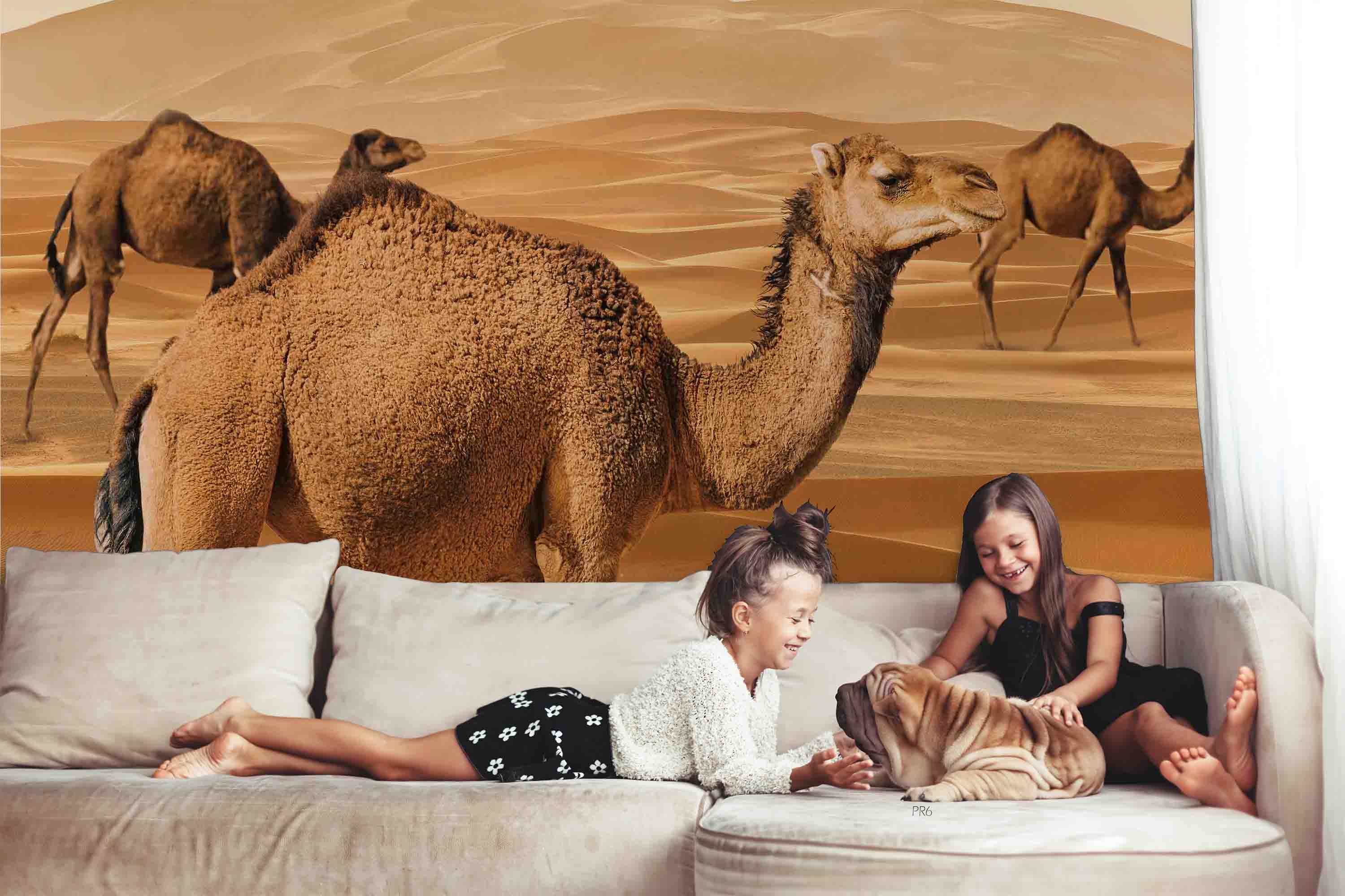 3D Animal Camel Desert Golden Wall Mural Wallpaper YXL 1- Jess Art Decoration