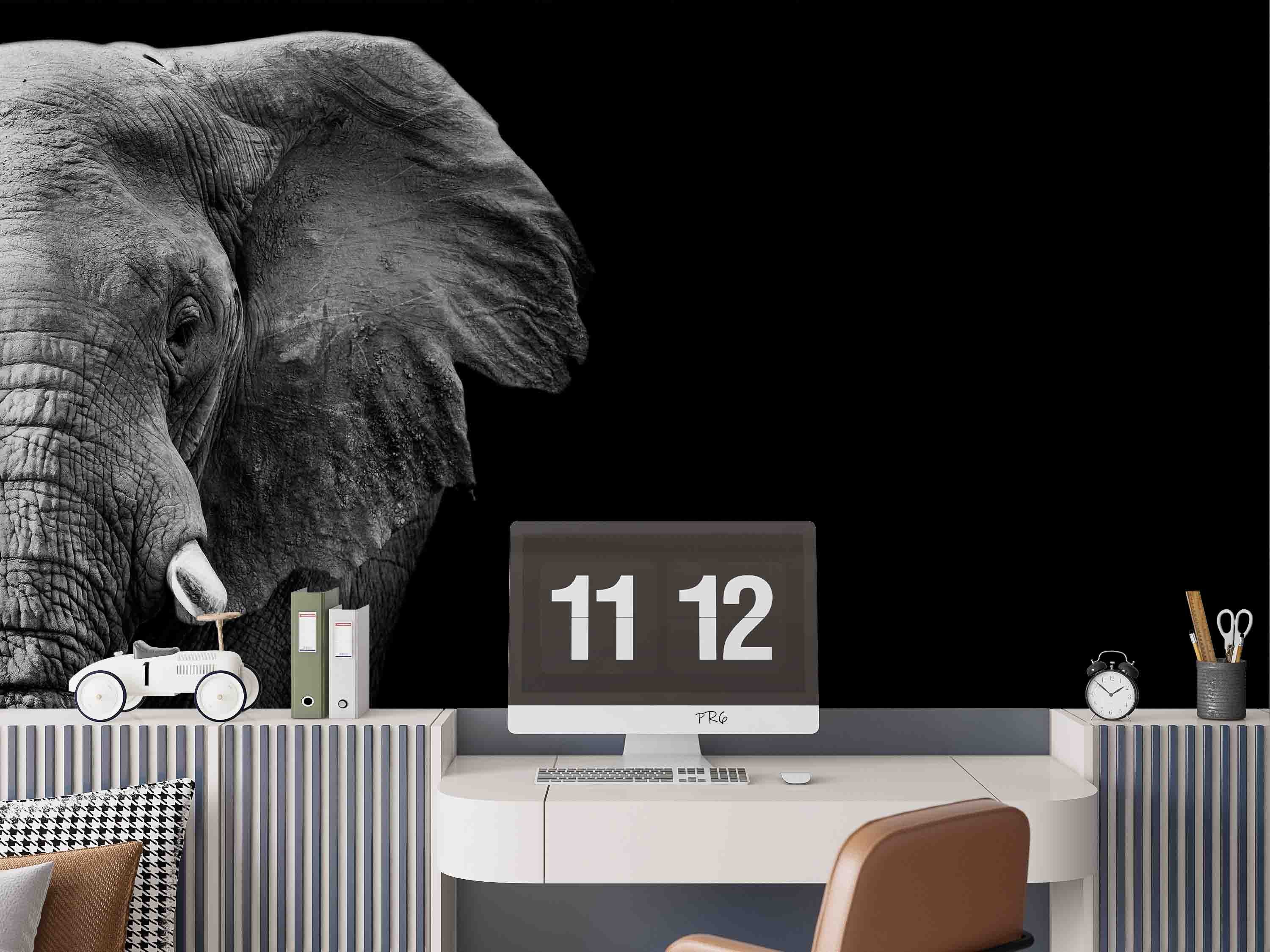 3D Animal Elephant Grey Black Wall Mural Wallpaper YXL 14- Jess Art Decoration
