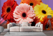3D Spring Colorful Gerbera Wall Mural Wallpaper GD 3356- Jess Art Decoration