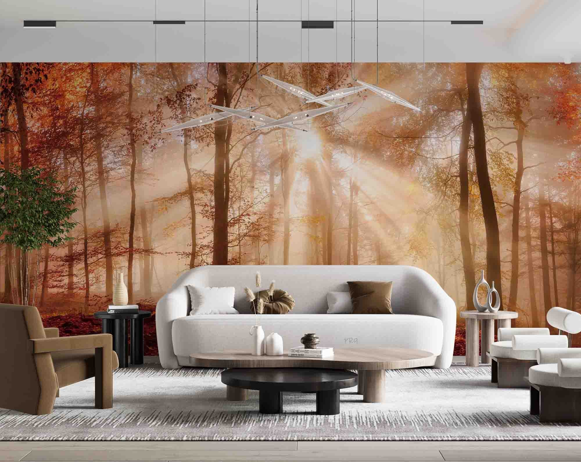 3D Forest Trees Misty Morning Sun Sunshine Wall Mural Wallpaper GD 4710- Jess Art Decoration