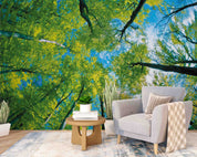 3D Summer Green Tree Sky Wall Mural Wallpaper GD 4471- Jess Art Decoration
