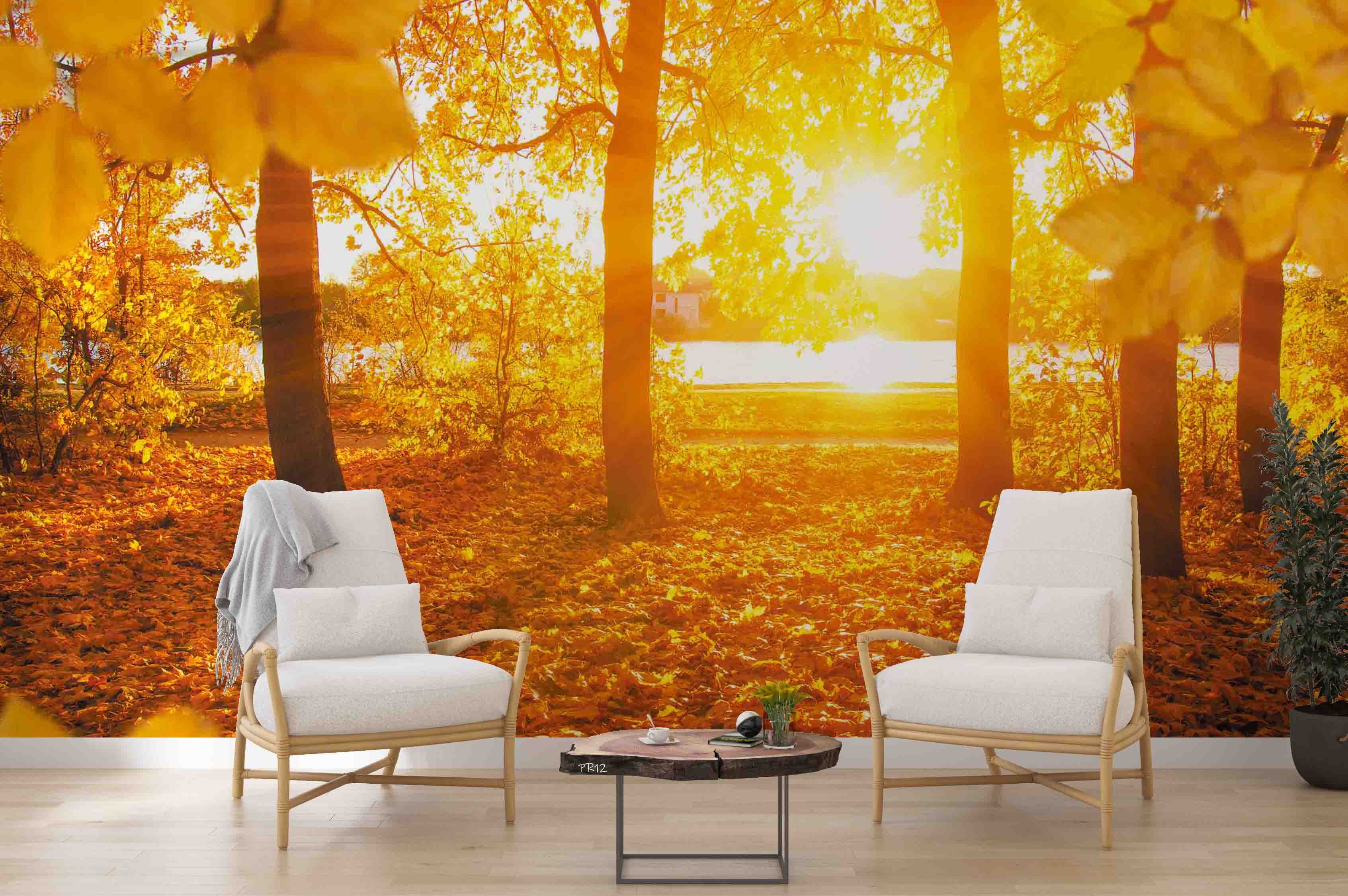3D Autumn Forest Fallen Leaves River Sunset Scenery Wall Mural Wallpaper GD 4978- Jess Art Decoration