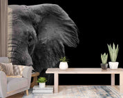3D Animal Elephant Grey Black Wall Mural Wallpaper YXL 14- Jess Art Decoration