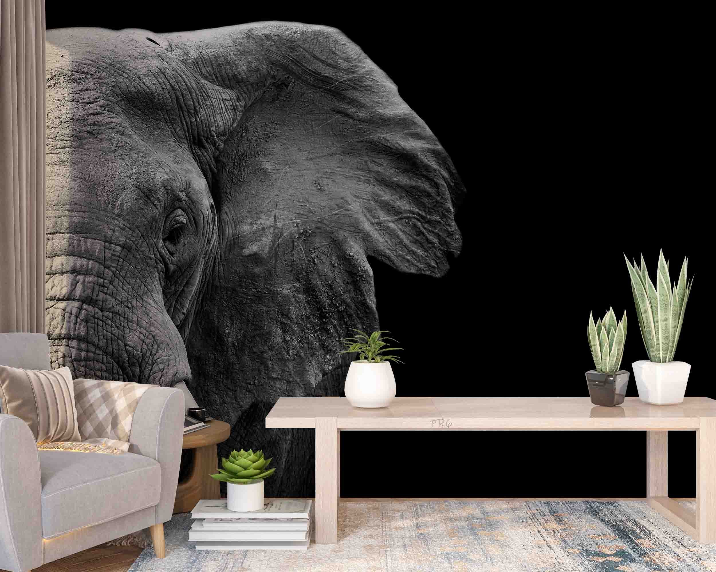 3D Animal Elephant Grey Black Wall Mural Wallpaper YXL 14- Jess Art Decoration