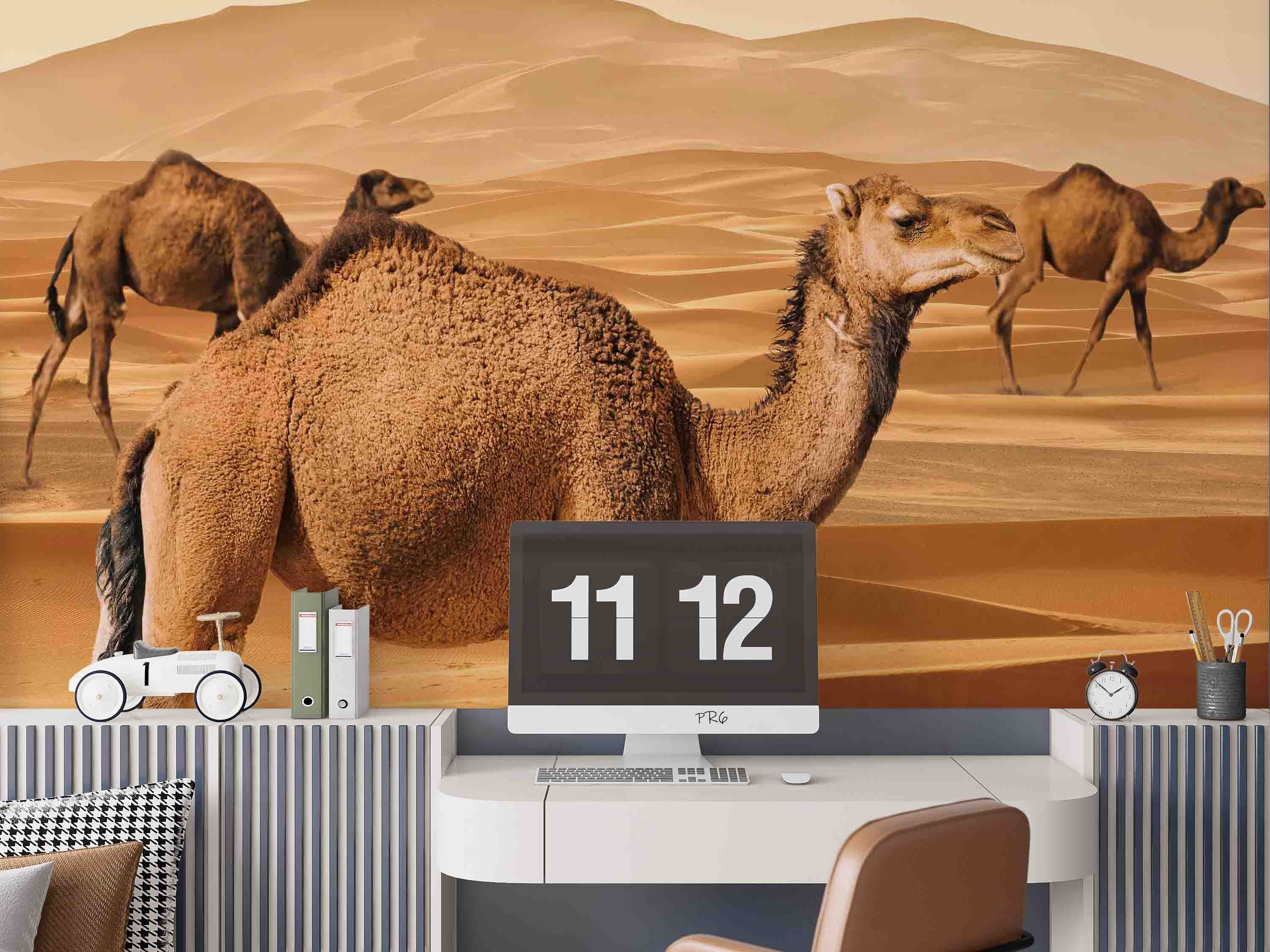 3D Animal Camel Desert Golden Wall Mural Wallpaper YXL 1- Jess Art Decoration