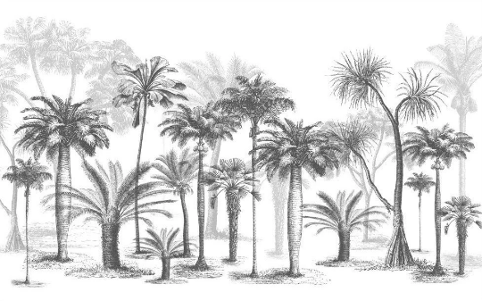3D Misty Palm Tree Forest soft tropical palm landscape wall mural wallpaper for bedroom - view 4