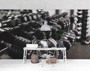 3D Fitness Equipment Dumbbell Black Wall Mural Wallpaper YXL 1150