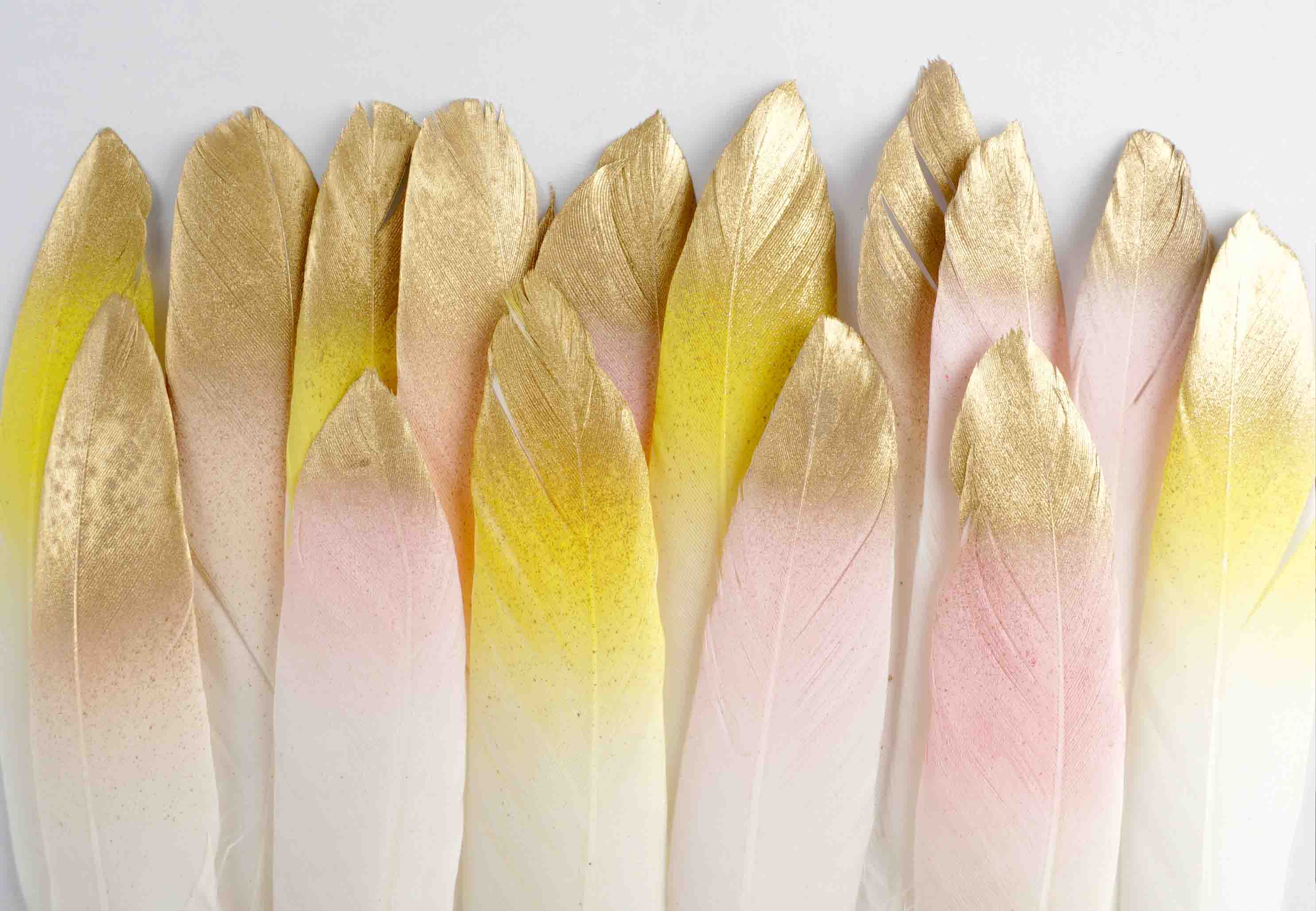 3D Aged Care Retirement Home Gerocomium Rest Home Feather Wall Mural Wallpaper 38