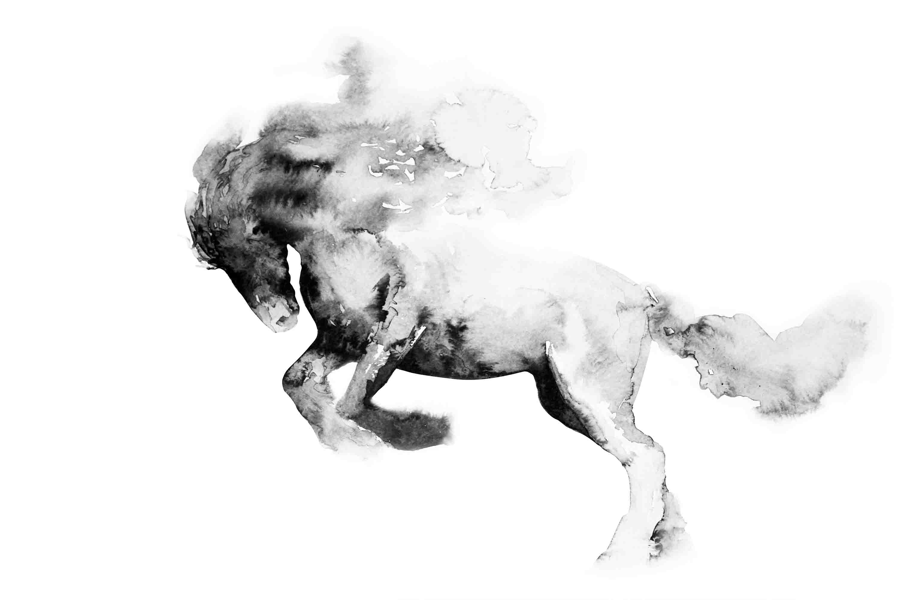 3D Retail Shop Store Market Trade Horse Wall Mural Wallpaper 16