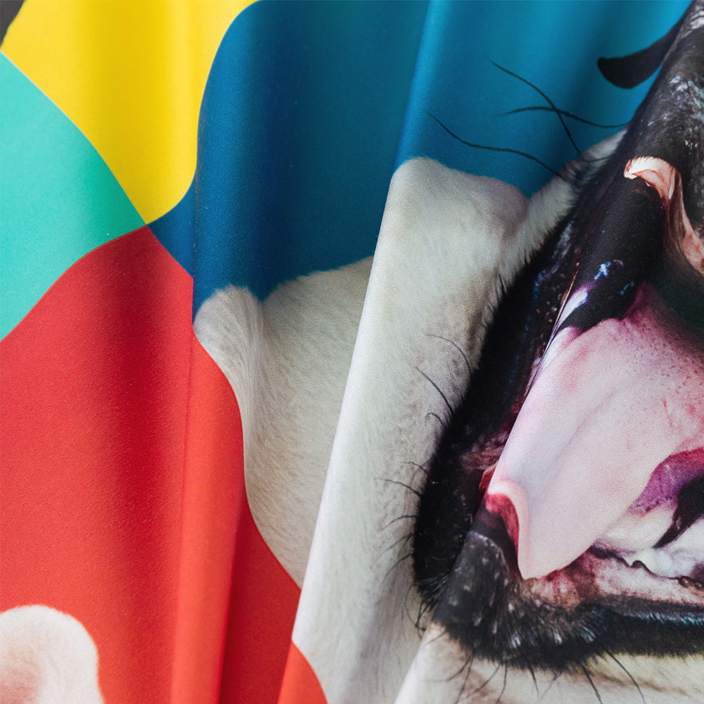 3D Dogs Feature Quilt Cover Set Bedding Set Duvet Cover Pillowcases 80- Jess Art Decoration
