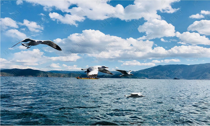 3D Animal Sea Mew Ocean Cloud Mountain Blue Wall Mural Wallpaper YXL 818- Jess Art Decoration