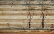 3D Plank Tree Line Wall Mural Wallpaper YXL 1147- Jess Art Decoration