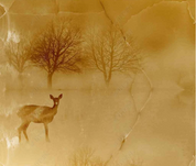 3D Marbling Deer Forest Golden Wall Mural Wallpaper YXL 1424
