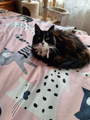 3D Cat Cartoon Pattern Quilt Cover Set Bedding Set Duvet Cover Pillowcase