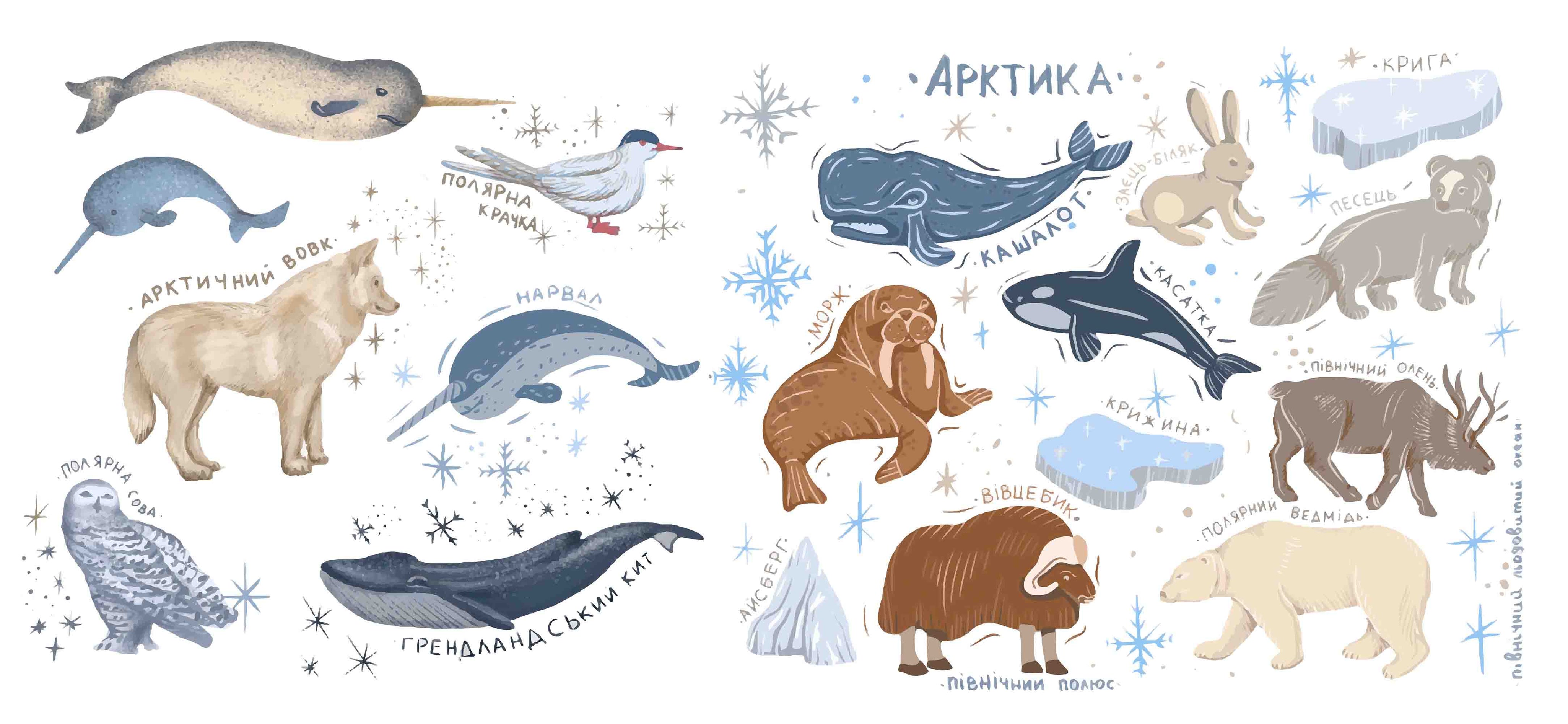 3D Childcare Nursery School Cartoon Animals Kids Wall Mural Wallpaper JN 62