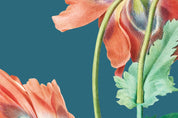 3D Red Poppy Flower Wallpaper Wall Mural Wall Decor Wall Art Wall Sticker Remoable Wallpaper 7