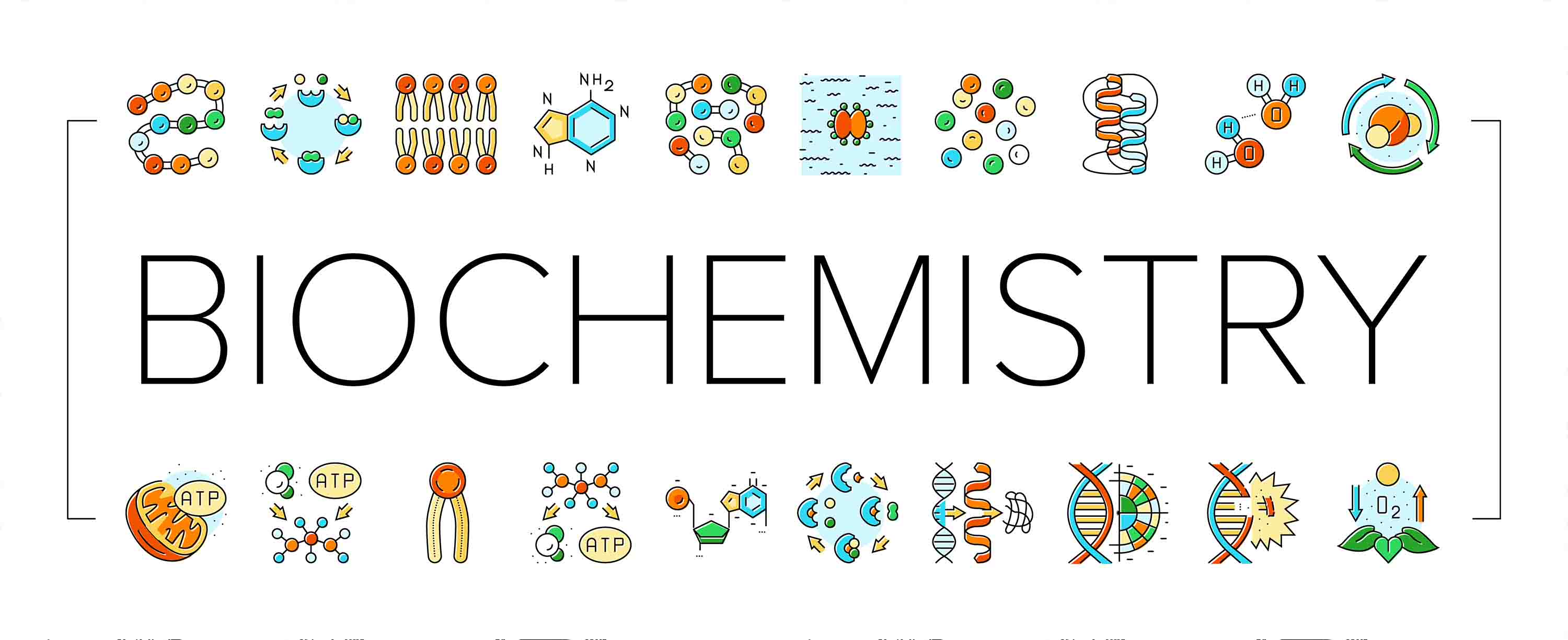 3D School STEM Science Lab Classroom Teaching Aid Chemistry Wall Mural Wallpaper 54