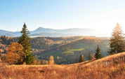 3D Mountains Autumn Landscape Wall Mural Wallpaper JN 379