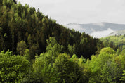 3D Sky Green Forest Mountains Nature Scenery Wallpaper Wall Mural Wall Decor Wall Art Wall Sticker Remoable Wallpaper LQH
