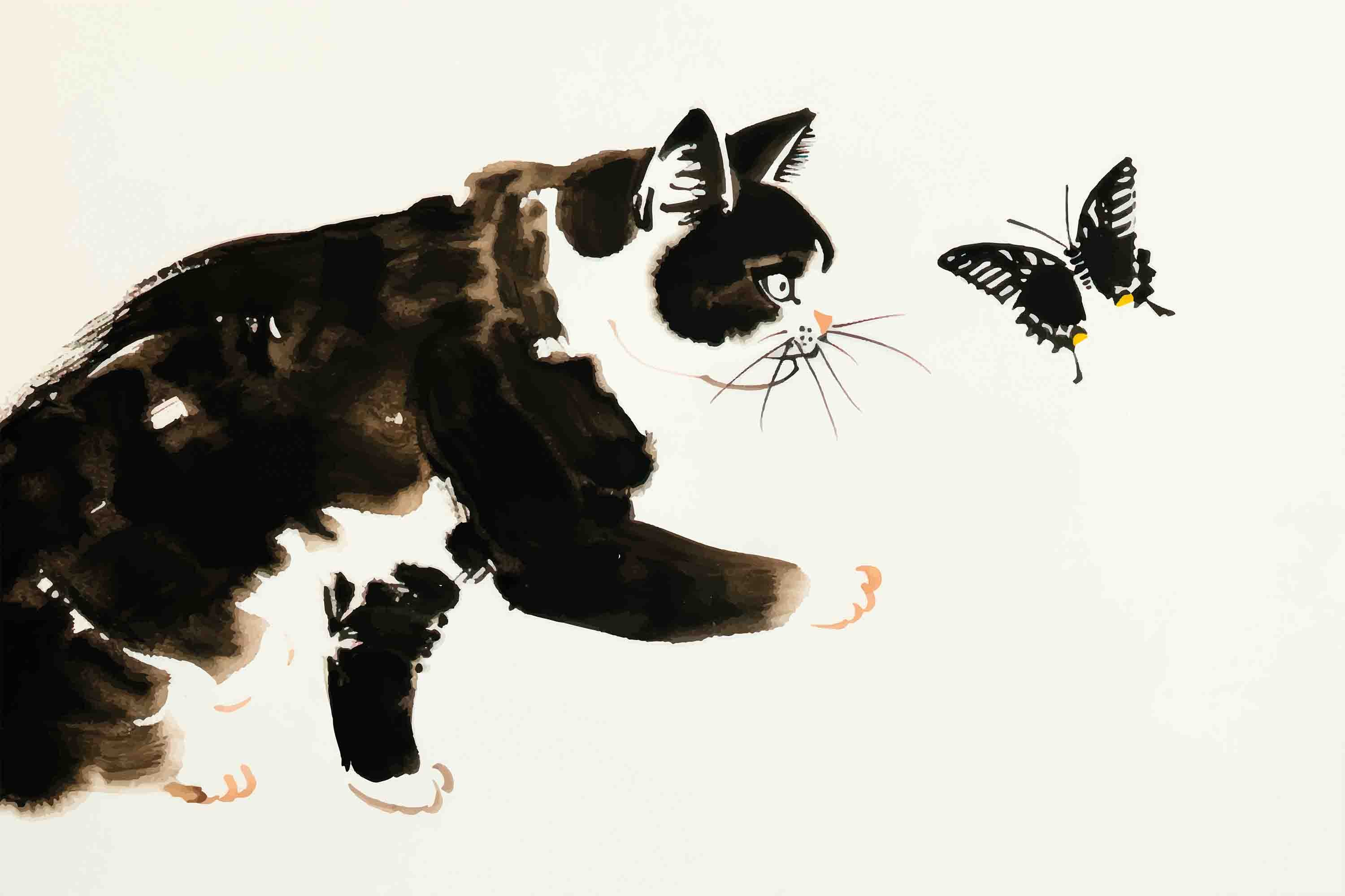 3D Black Animal Cat Butterfly Painting Wallpaper Wall Mural Wall Decor Wall Art Wall Sticker Remoable Wallpaper LQH 9